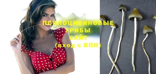 марки nbome Баксан